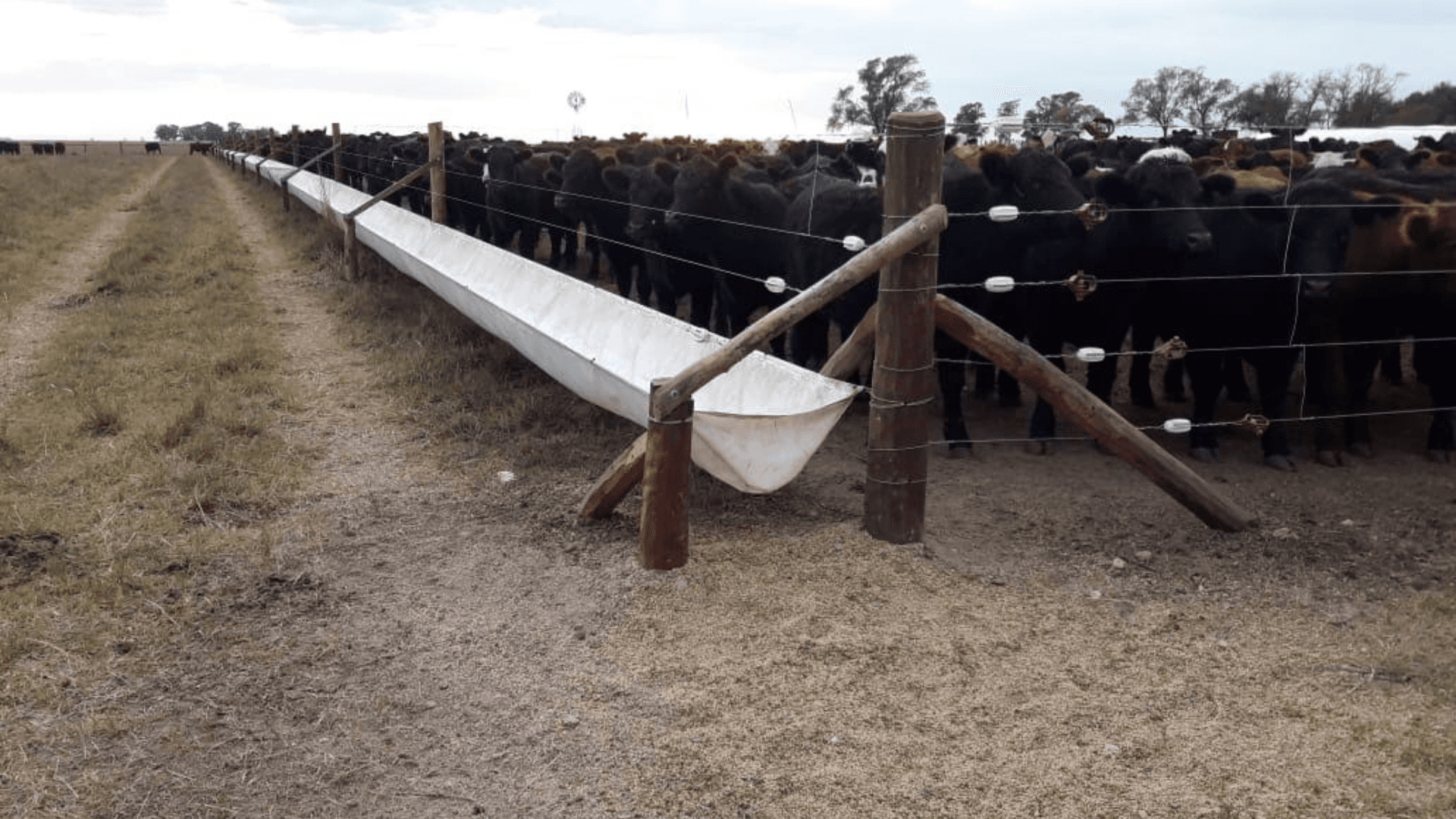 comedero de lona para animales
